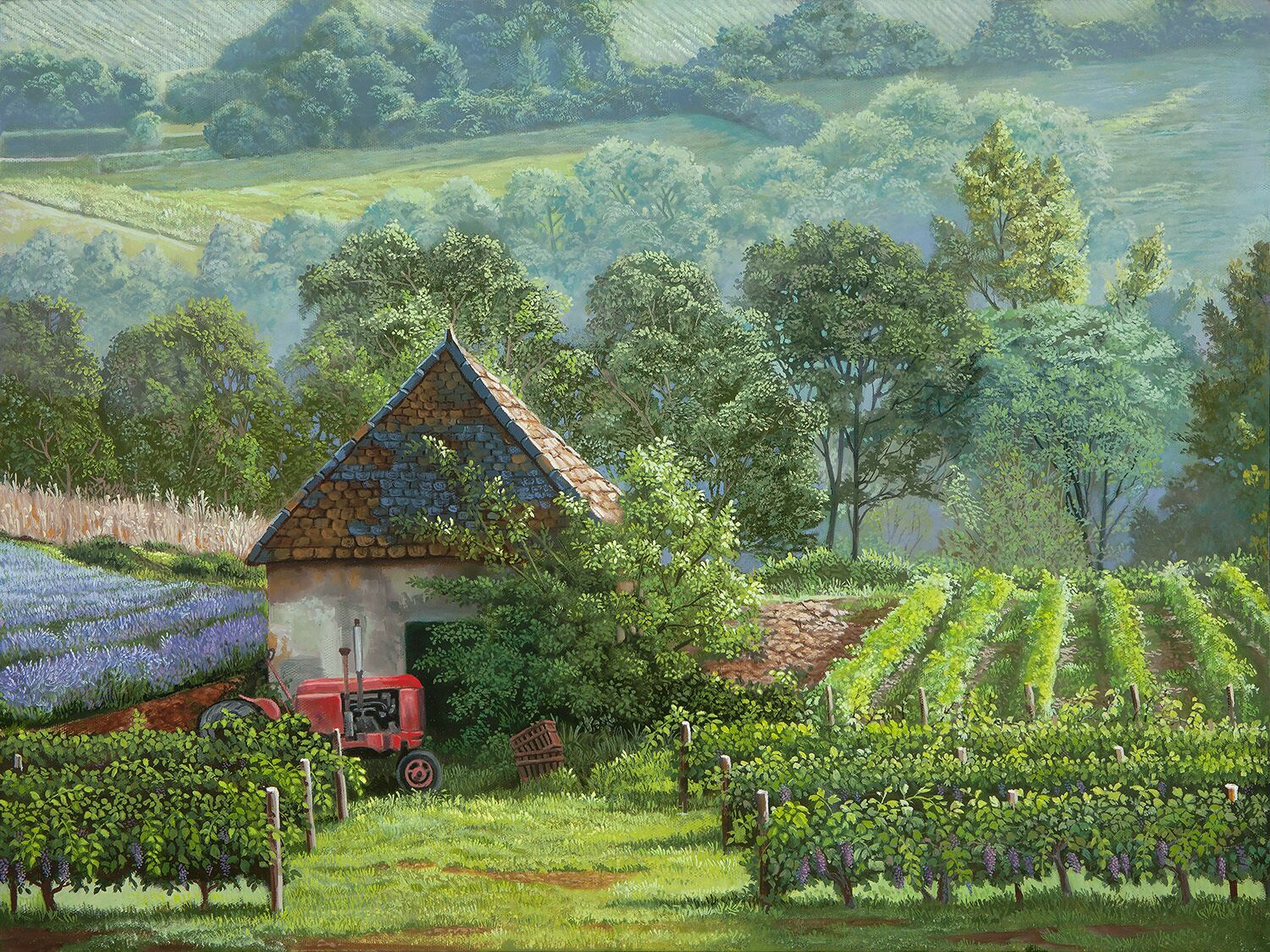 Provence (Oil)